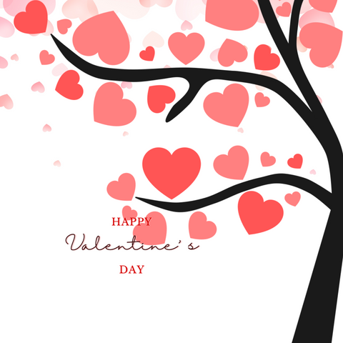 SmukBird gift voucher Valentine's Day