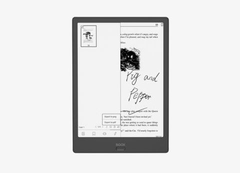 Onyx Boox Note 2 sleeve